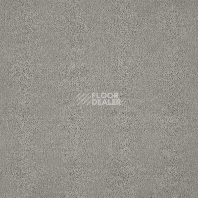 Ковролин AW Westminster 39 фото 1 | FLOORDEALER